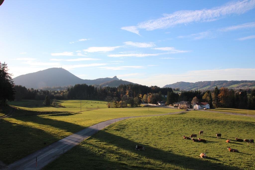 Ferienhof Kehlbauer Hof bei Salzburg Pokój zdjęcie