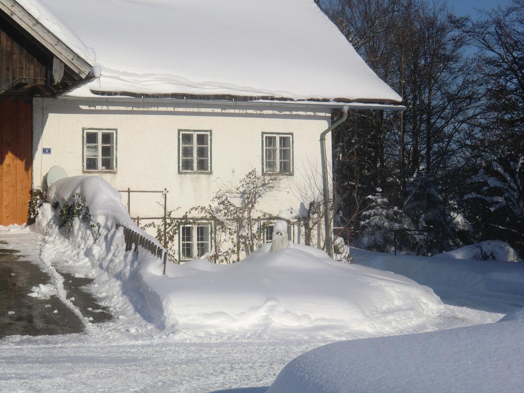 Ferienhof Kehlbauer Hof bei Salzburg Zewnętrze zdjęcie